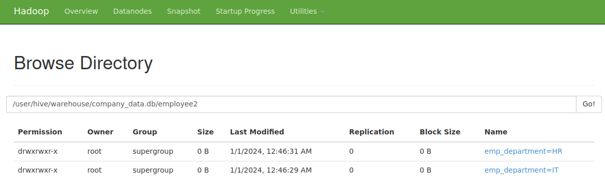 Hadoop Web UI - Partitions